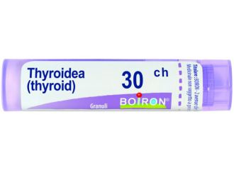 Thyroidea 30ch gr