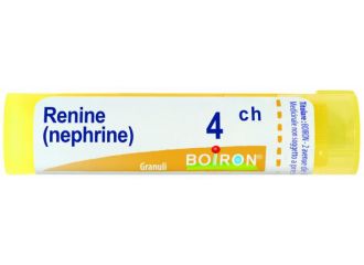 Renine 4ch gr