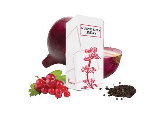 Nuovo ribes linda's gocce orali 50 ml