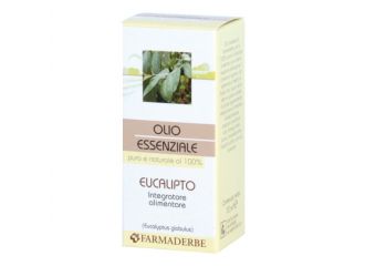 Olio essenziale eucalipto 10 ml
