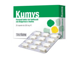 Kumys 20 capsule