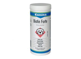 Biotin forte polvere 100 g