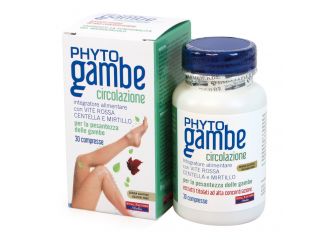 Phytogambe plus 30 compresse