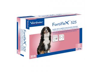 Fortiflex 525 mg 30 compresse appetibili