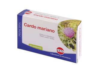 Cardo mariano estratto secco 60 compresse