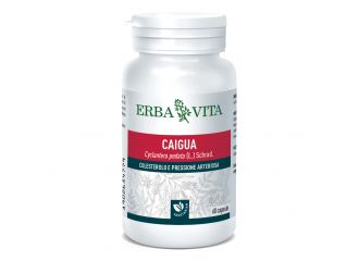 Caigua 60 capsule 400 mg