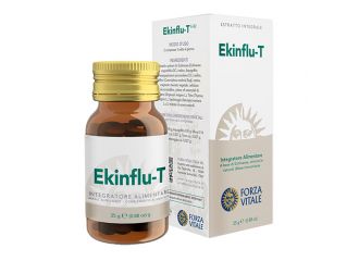 Ecosol ekinflu t 60 compresse