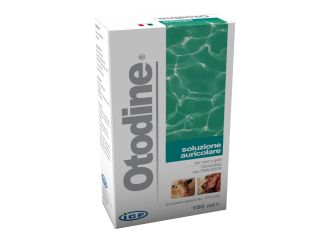 Otodine det.liq.100ml