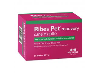 Ribes pet recovery blister 60 perle