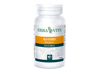 Olio ribes 60 perle 673 mg