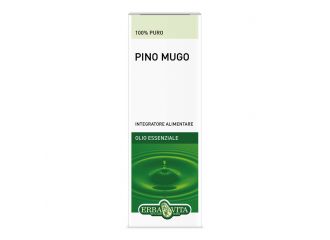 Pino mugo olio ess.10ml