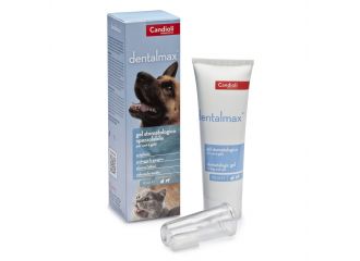 Dentalmax gel stomatologico 50 ml