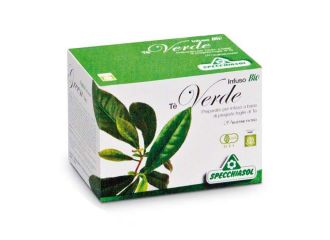 Tisana te' verde 20 bustine