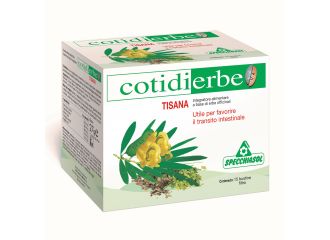 Cotidierbe tisana 15 bustine 27 g
