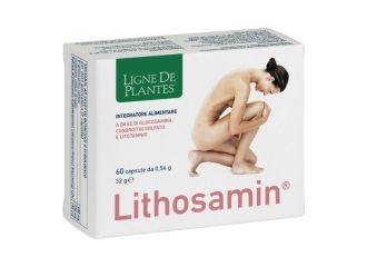 Lithosamin 60 capsule