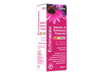 Echinacea estratto no alcool 50 ml