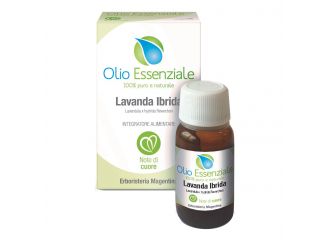 Lavanda ibrida olio essenziale 10 ml