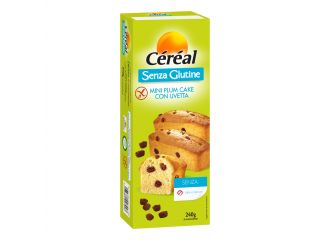 Gereal plum cake uvetta 240 g