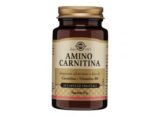 Amino carnitina 30 capsule