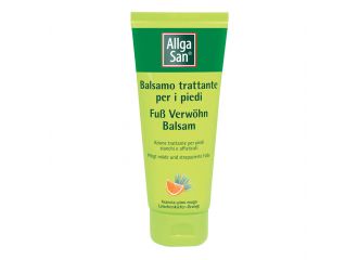 Allga balsamo piedi pi/ar100 ml