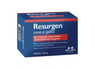 Resurgen blister 60 perle