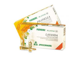 Fisiosol 13 mg 20f 2ml