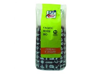Fagioli rossi kidney beans bio 500 g