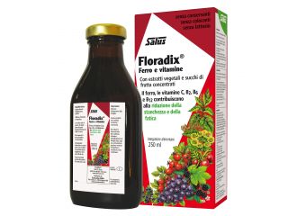 Floradix 250 ml
