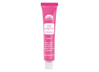 Euphidra amidomio gel gengive 15 ml