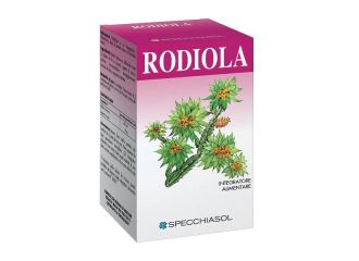 Rhodiola erbe 60tav