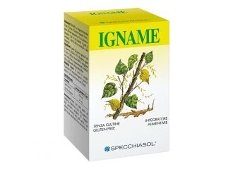 Igname erbe 60tav