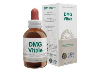 Ecosol dmg-vitale gocce 50 ml