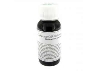 Lvs 11n cochlearia officinalis compositum