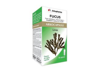 Arko capsule fucus 45 capsule