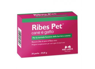 Ribes pet blister 30 perle
