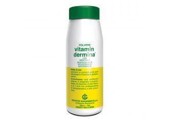 Vitamindermina polvere ment 100 g