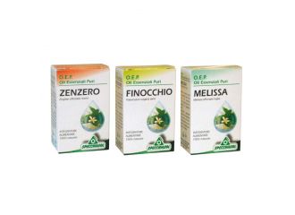 Eucalipto olio essenziale 10 ml