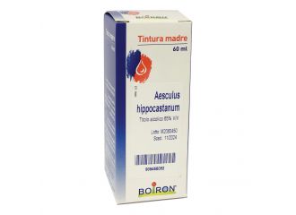 Aesculus hipp. tm  60ml