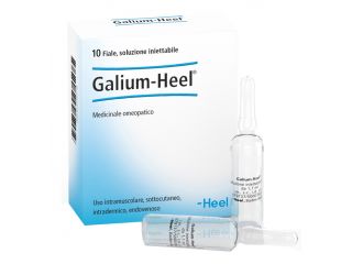 Galium 10 fiale 1,1ml