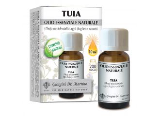 Thuja olio ess.10ml