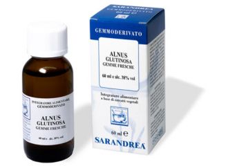 Alnus glutinosa 100 ml macerato glicerico