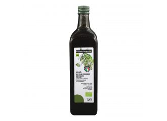 Il nutrimento olio extravergine d'oliva calabrese estratto a freddo 1 litro