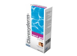 Clorexyderm-spot gel 100ml