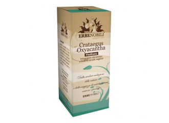 Fitoblasto crataegus oxyacantha 50 ml