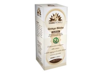 Fitomater ginkgo biloba 50 ml