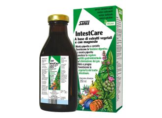 Intestcare 250 ml