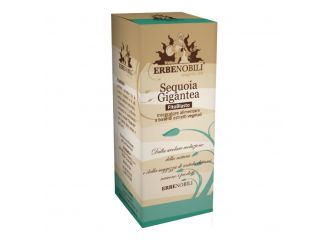 Fitoblasto sequoia gigantea 50 ml