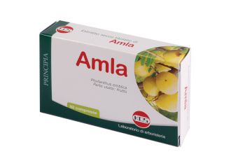 Amla estratto secco 60 compresse