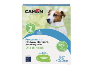 Protection collare barriera per cane