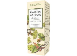 Vaccinium vitis idaea mirtillo rosso bio 50 ml